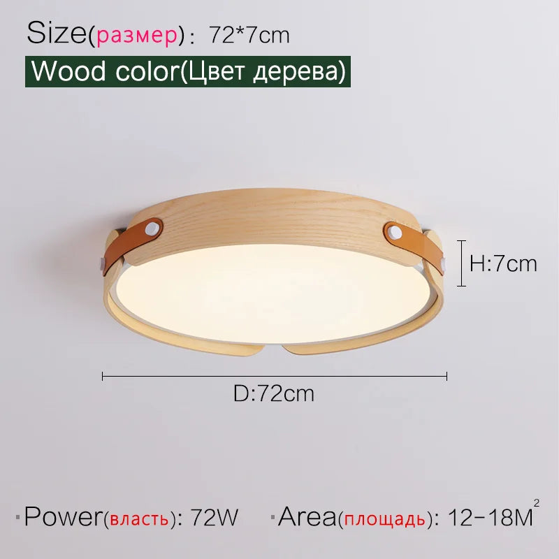 Modern Minimalist Round Ceiling Lights LED Living Room Lamp