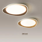 Modern LED Ceiling Chandeliers for Living Room Bedroom Kitchen Dining Home Decor