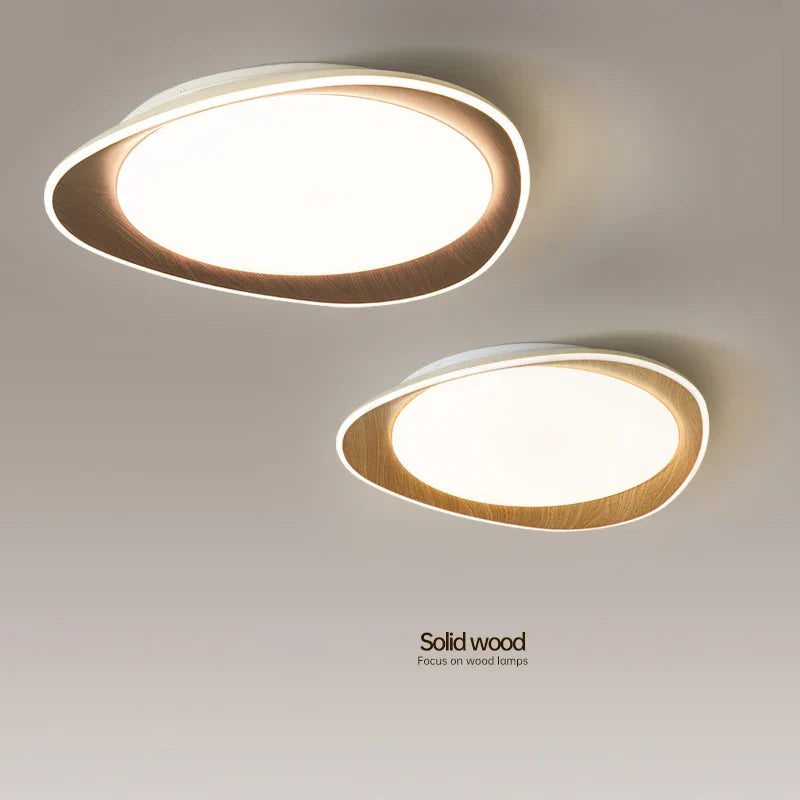 Modern LED Ceiling Chandeliers for Living Room Bedroom Kitchen Dining Home Decor