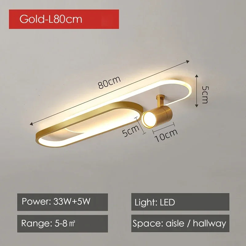 Modern LED Ceiling Lamps with Spotlight for Living Room & Kitchen