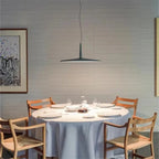 Skan Pendant Lamp Danish Design Minimalist Light Nordic Living Room Coffee Shop