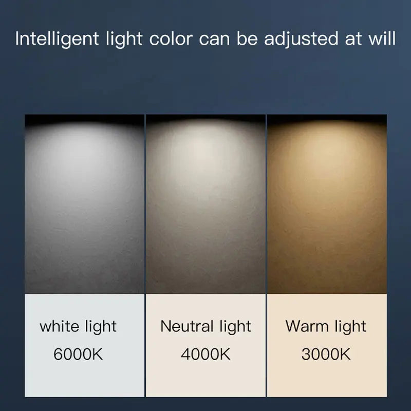 Modern Luxury Gold Ceiling Lamp: Circular Ring LED Light for Bedroom, Dining, Kitchen