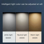 Modern Luxury Gold Ceiling Lamp: Circular Ring LED Light for Bedroom, Dining, Kitchen