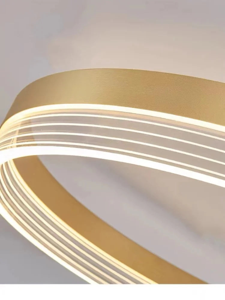 Acrylic Round Ring Ceiling Light LED Chandelier Modern Minimalism for Living Room and Kitchen