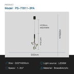 Luxury Copper Acrylic Flower Pendant Light for Home and Cafe Decor