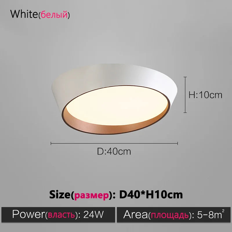 Modern LED Ceiling Lamp for Bedroom Living Dining Master Room