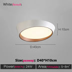 Modern LED Ceiling Lamp for Bedroom Living Dining Room