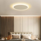 Modern Minimalist Ceiling Light with Remote Control for Living Room Dining Room