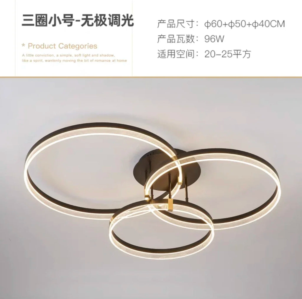 Modern Minimalist LED Ceiling Light with Remote Control for Living Room and Bedroom