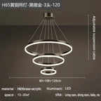 Nordic Circular Chandelier Hanging Pendant Light for Living Room and Dining Room