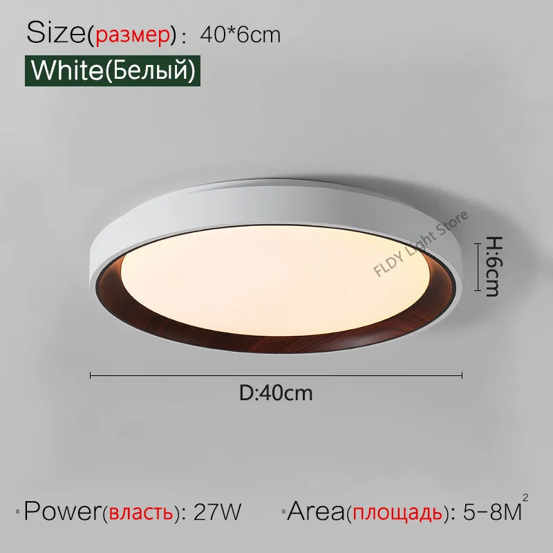 Modern Nordic Italian Minimalist LED Ceiling Lamps for Luxurious Master Bedroom