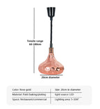 Electric Food Heat Lamp: Telescopic Pendant Light for Restaurant's Kitchen Fixtures