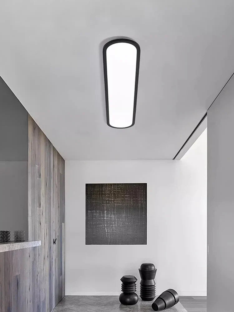 Oval LED Ceiling Light for Modern Minimalist Indoor Lighting Fixtures