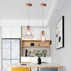 Industrial Metal Cage Pendant Lamp for Home Lighting