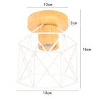 Vintage Wire Cage Ceiling Lamp for Home, Restaurant, Bar - Retro Style Lighting