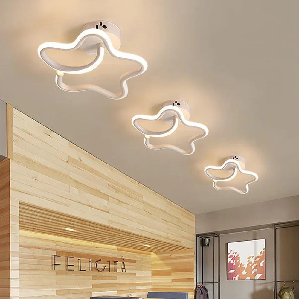 LED Ceiling Light for Modern Living Room Bedroom Lighting