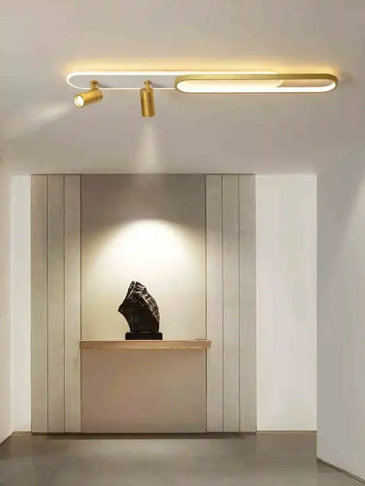 Modern LED Ceiling Lamps with Spotlight for Living Room & Kitchen
