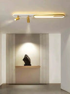 Modern LED Ceiling Lamps with Spotlight for Living Room & Kitchen