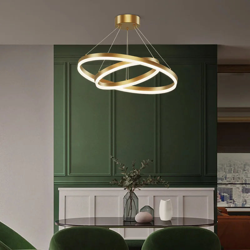 Nordic Circular Chandelier Hanging Pendant Light for Living Room and Dining Room