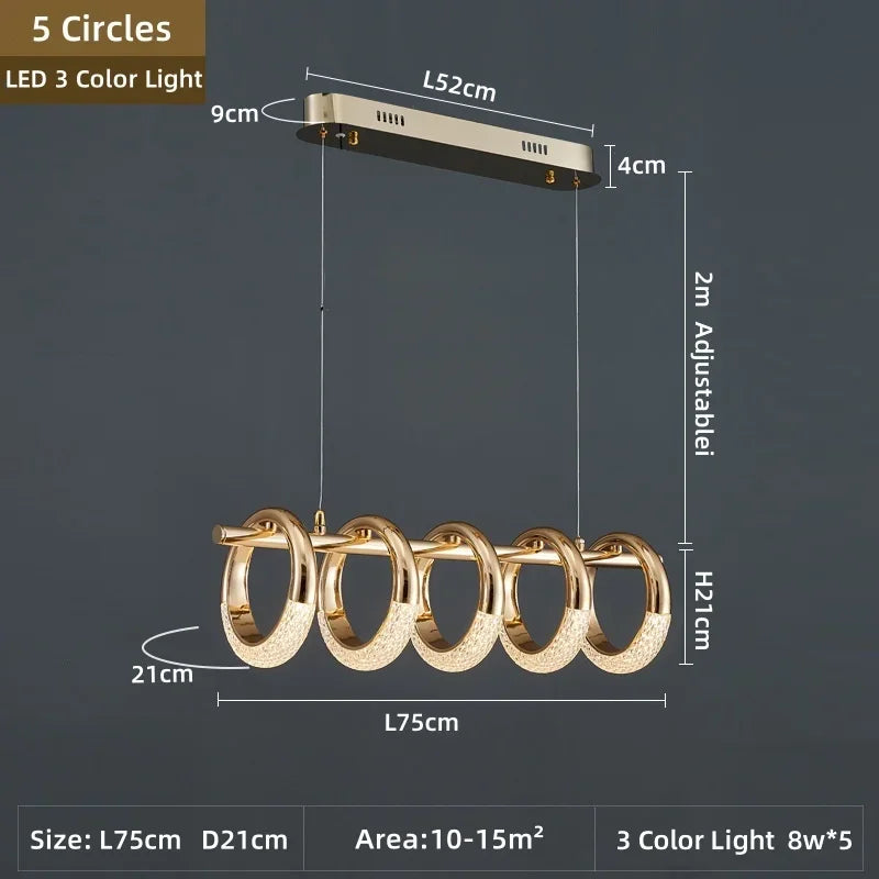 Gold Acrylic Circle Ring LED Pendant Chandelier