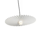 Boomerang Wood Chandeliers - Nordic Wabi Sabi Wind Art LED Pendant Lamps