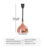 Electric Food Heat Lamp: Telescopic Pendant Light for Restaurant's Kitchen Fixtures