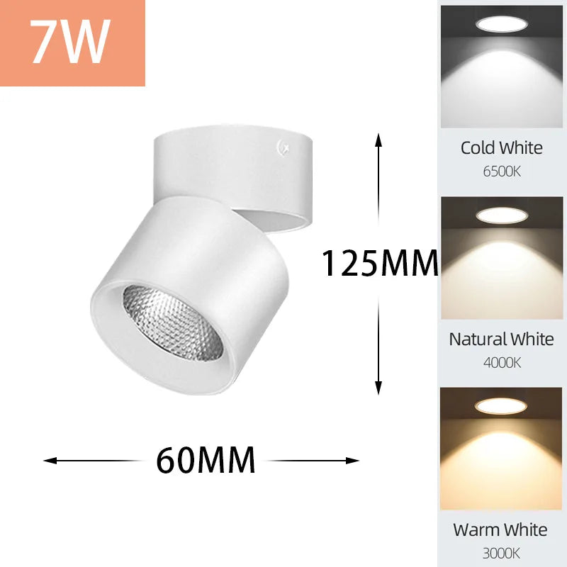 LED Downlight Ceiling Spotlights 5/10/15/25W for Indoor Kitchen Lighting
