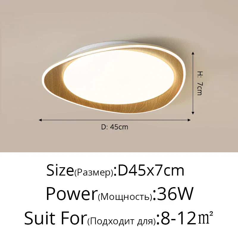 Modern LED Ceiling Chandeliers for Living Room Bedroom Kitchen Dining Home Decor