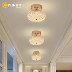 Gold LED Ceiling Light for Home Bedroom Living Room Kitchen Lighting Fixtures