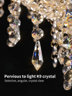 Young Luxury Crystal Chandelier Light for Living Room and Lobby