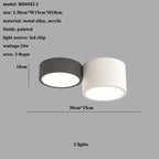 Cylinder LED Ceiling Lamp for Living Room and Bedroom Decor