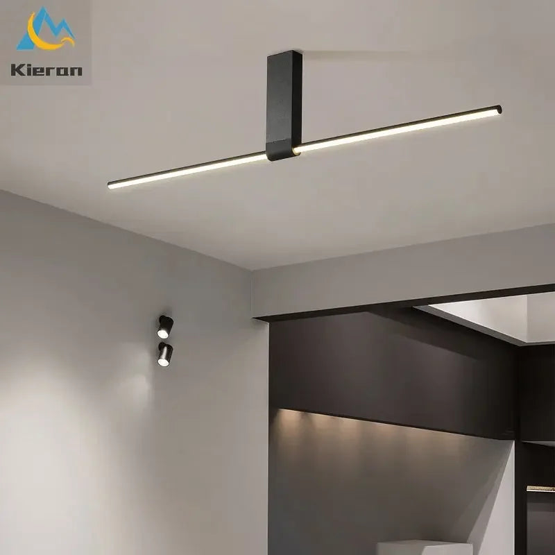 Nordic LED Ceiling Lamp for Modern Spaces