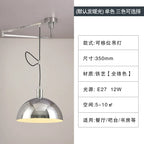 Rotatable Rocker Lamp Chandelier for Indoor Bar Study, Nordic Design