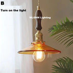 Nordic Wooden Glass Pendant Chandelier for Bedroom Living Dining Room