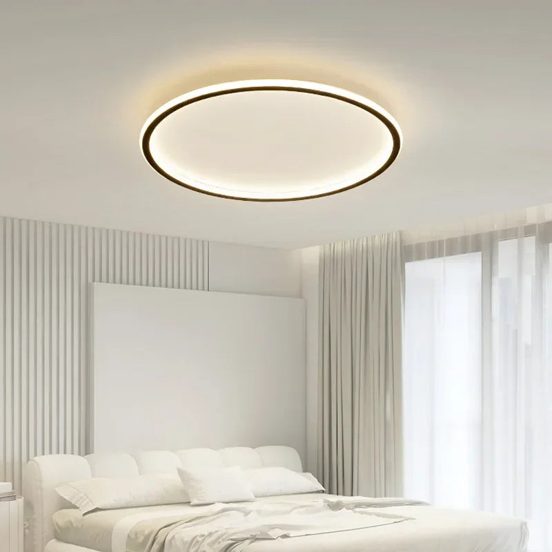 LED Ceiling Lamp Iron Dimmable Modern Living Room Light Fixture