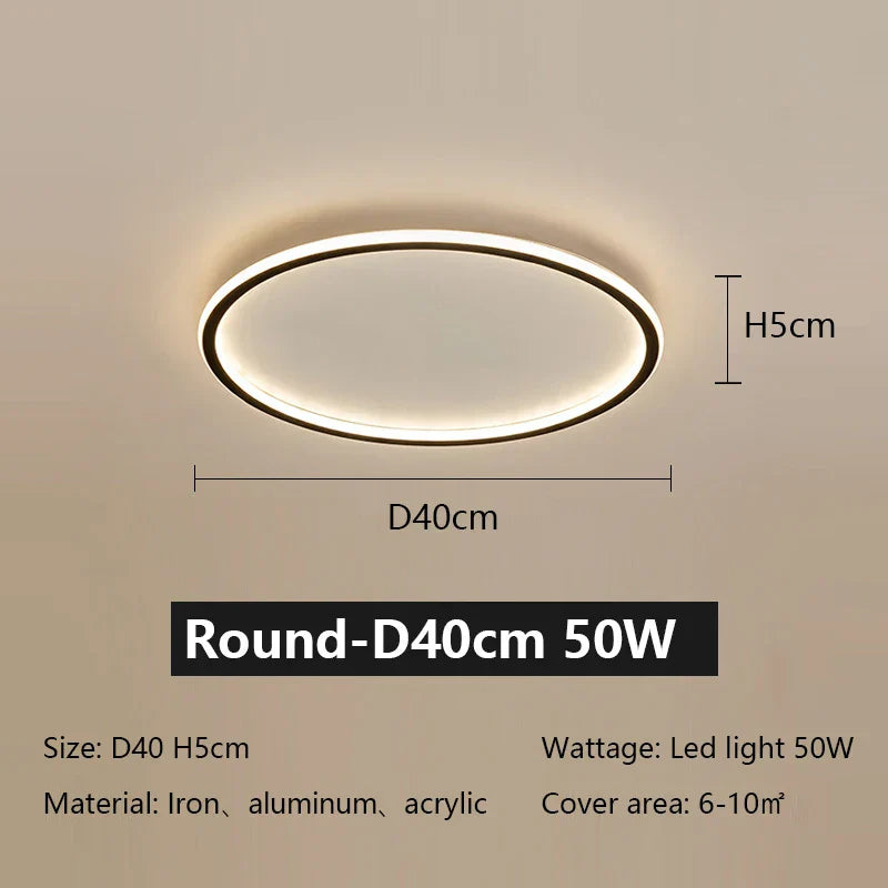 LED Ceiling Lamp Iron Dimmable Modern Living Room Light Fixture