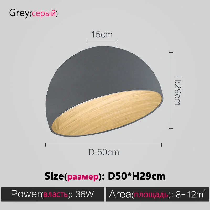 Nordic Wood Grain Ceiling Lamp for Living Room Bedroom, Minimalist Designer Art Lighting