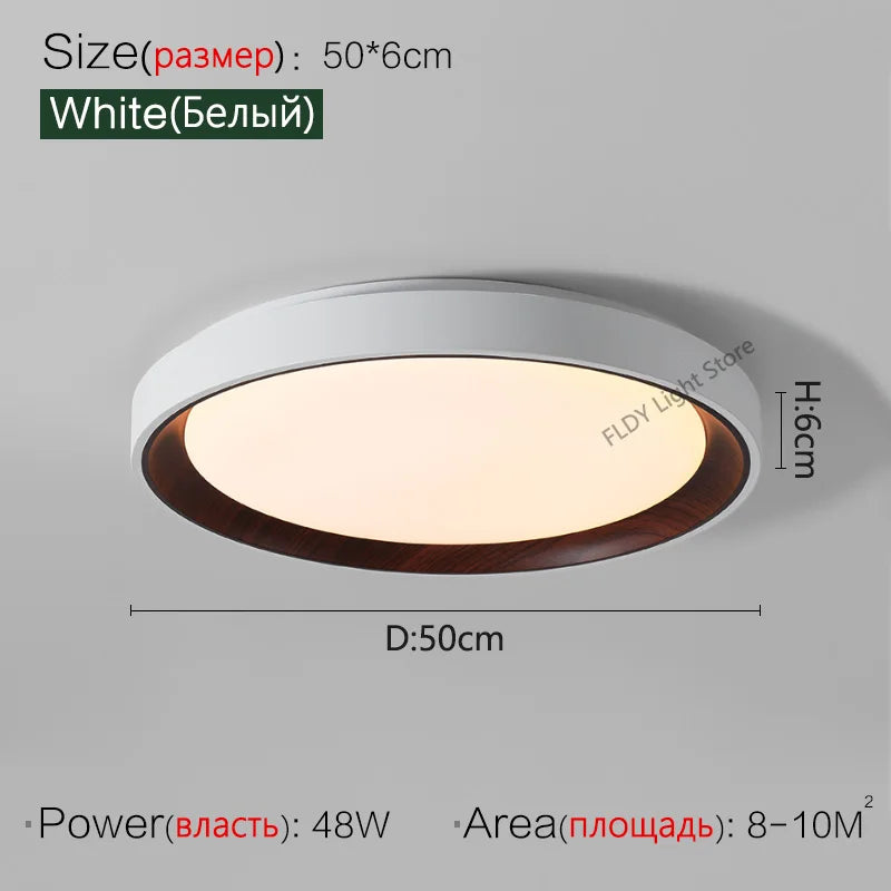 Modern Nordic Italian Minimalist LED Ceiling Lamps for Luxurious Master Bedroom
