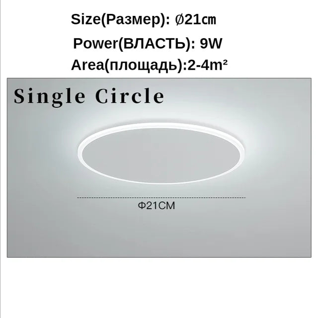 Modern Minimalist Ceiling Light with Remote Control for Living Room Dining Room