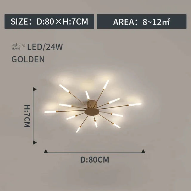 LED Indoor Ceiling Light: Modern Art Luster for Bedroom Hall Living Kids Room