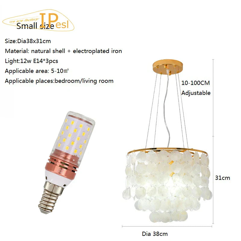 LED Shell Chandelier: Modern Gold Chrome Ceiling Hanging Light