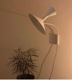 Nordic Rotatable Horn Wall Lamp for Creative Living Room
