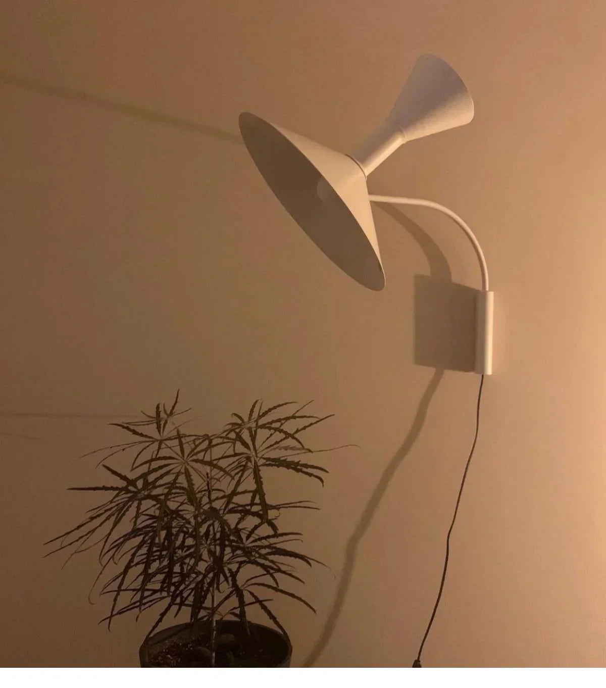 Nordic Rotatable Horn Wall Lamp for Creative Living Room