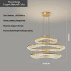 Acrylic Living Room Chandelier Pendant Light Fixture_LED Hanging Lamp