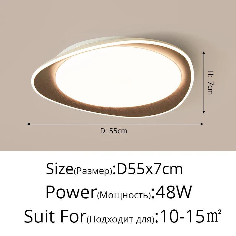 Modern LED Ceiling Chandeliers for Living Room Bedroom Kitchen Dining Home Decor