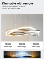 Modern Chandelier Ring Lamp Electric Home Lighting Master Bedroom Decor