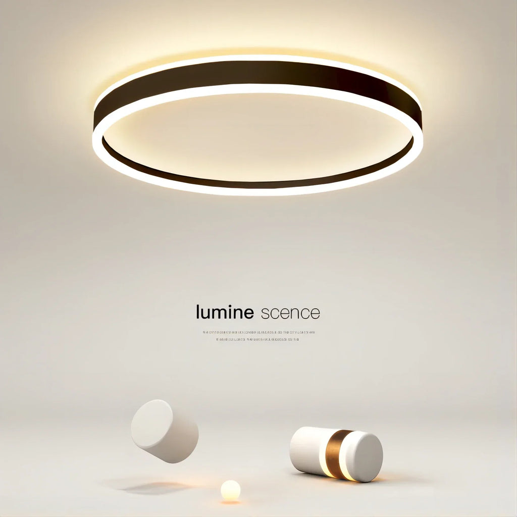 Modern Minimal LED Ceiling Light Acrylic Dimmable Round Lamp Fixtures