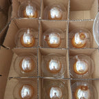 Transparent Frosted Magic Bean Glass Ball Pendant Light for Indoor Lamps