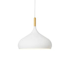 Wood Pendant Light: Modern Nordic Kitchen Ceiling Lamp for Dining Room & Coffee Bar