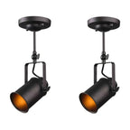 Industrial Vintage Adjustable Ceiling Lamp for Restaurant Coffee Shop Hotel